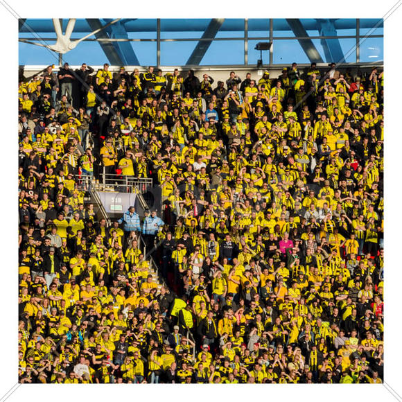 Болельщики