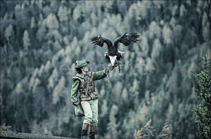 Австрия. Соколиная охота