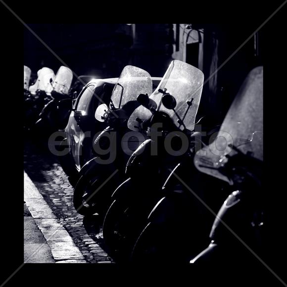 Мотодивизия