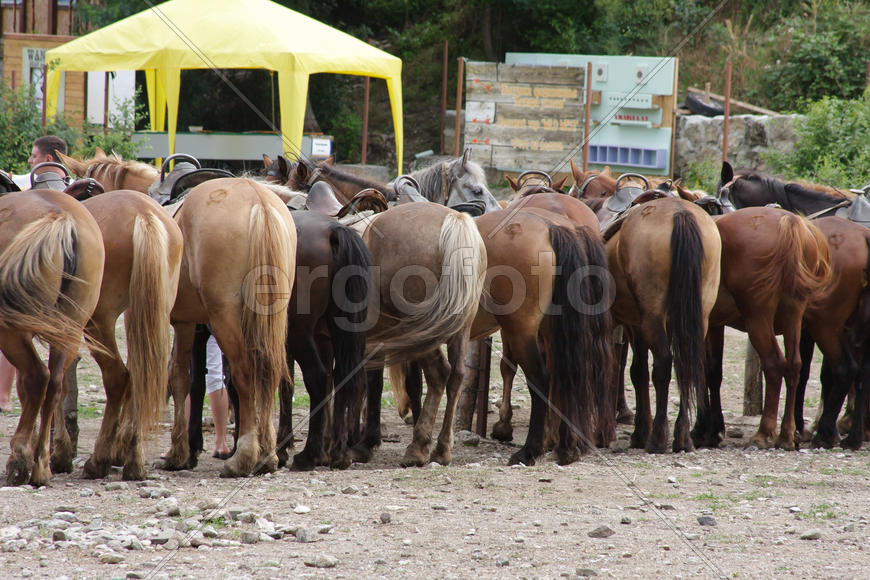 Строевой смотр