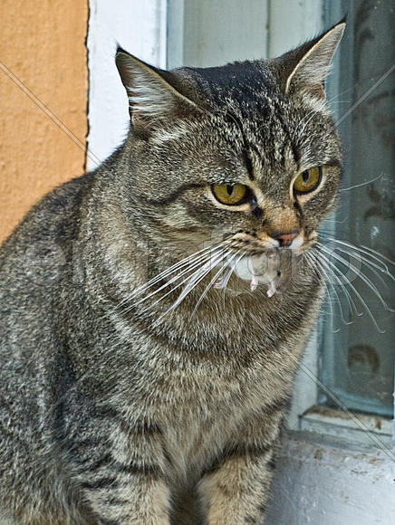 Что мне теперь с ней делать?