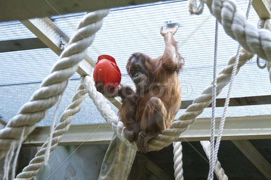 одень кепочку, дочка, тут опасно...