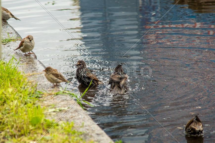 Тёплая водичка