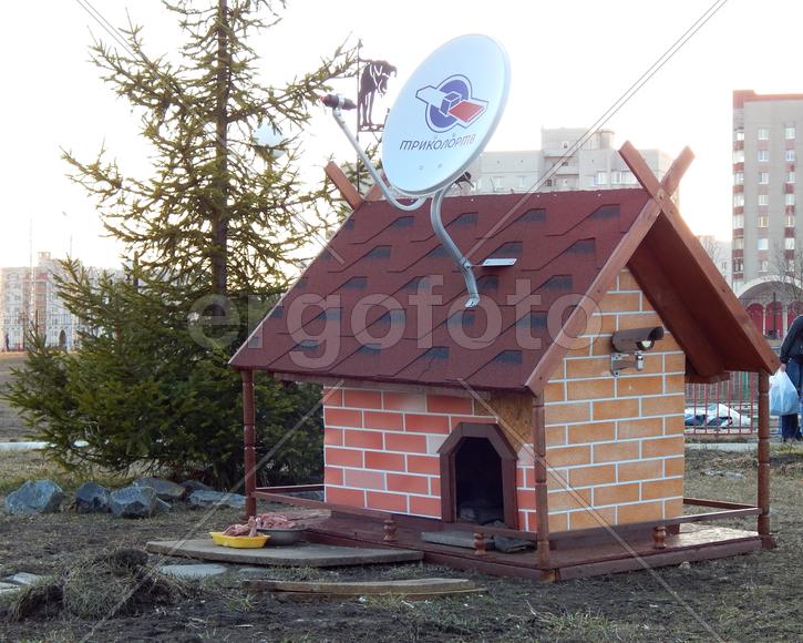 Собачья будка с видионаблюдением г. Губкин