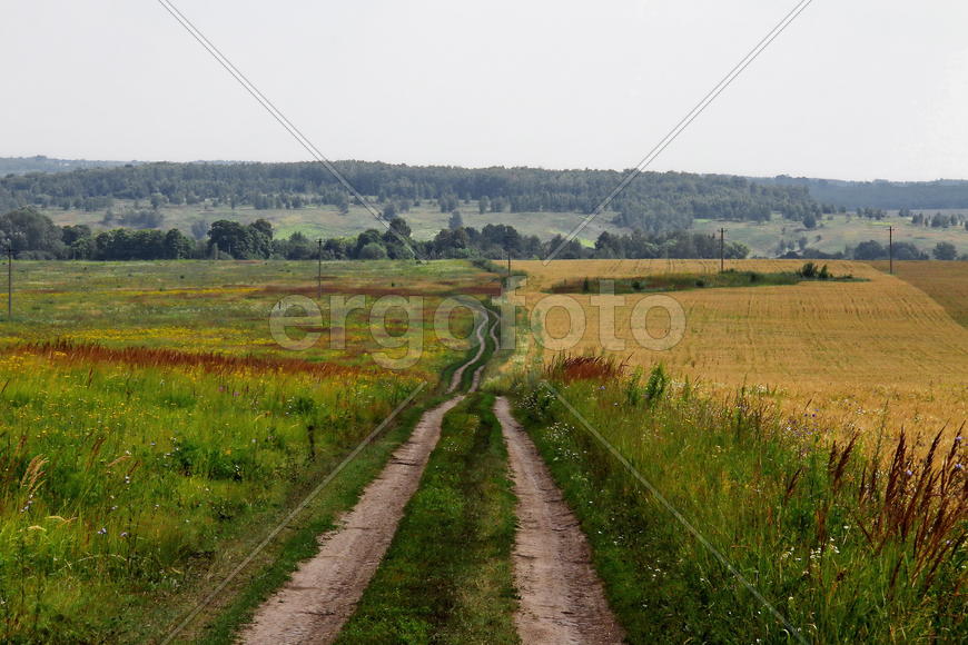 сельская дорога