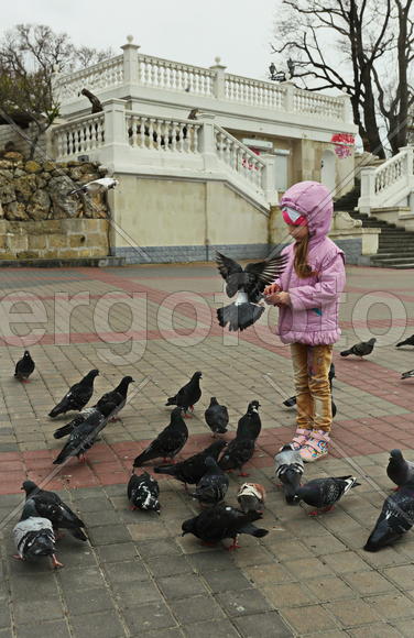 Девочка и голуби