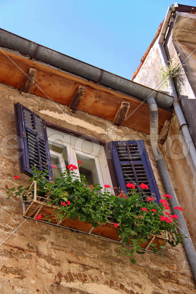 А на окне моём герань...