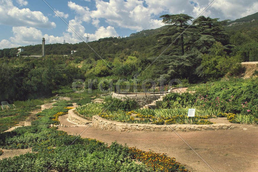 Ботанический сад