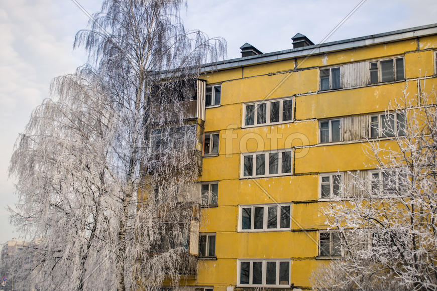 Желтый дом за белой берёзой