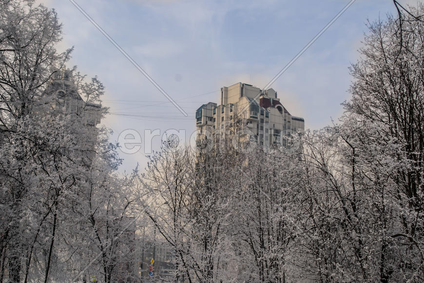 Заснеженная