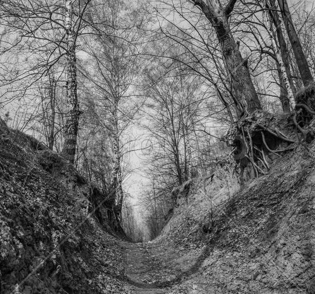 тропа великанов