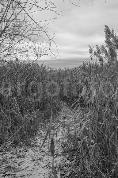 слепая тропа