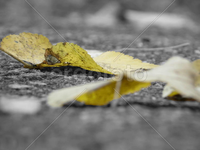 Выделяющиеся в серых буднях