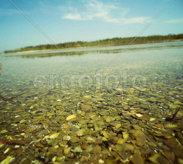 Немного лета