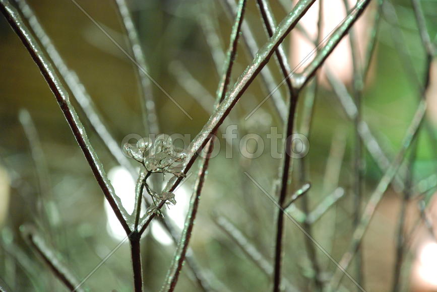 Лёд в Москве - 2 