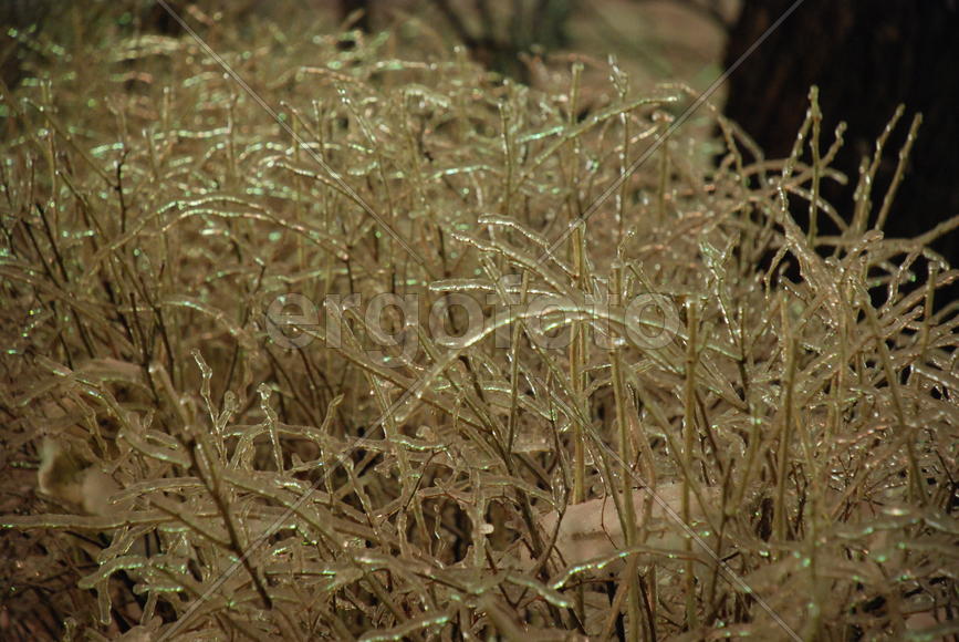 Лёд в Москве - 2 