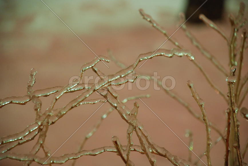 Лёд в Москве