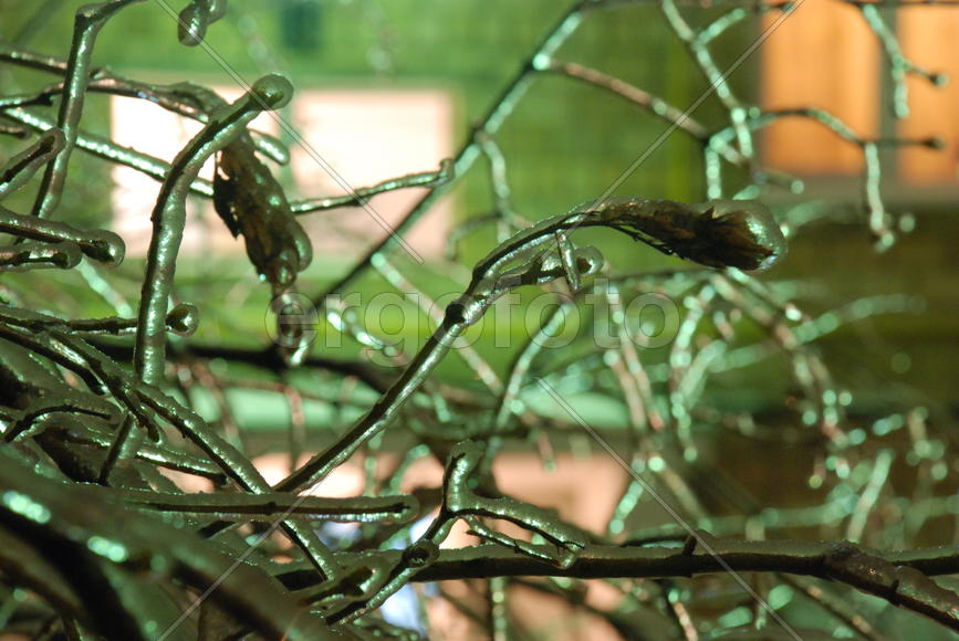 Лёд в Москве