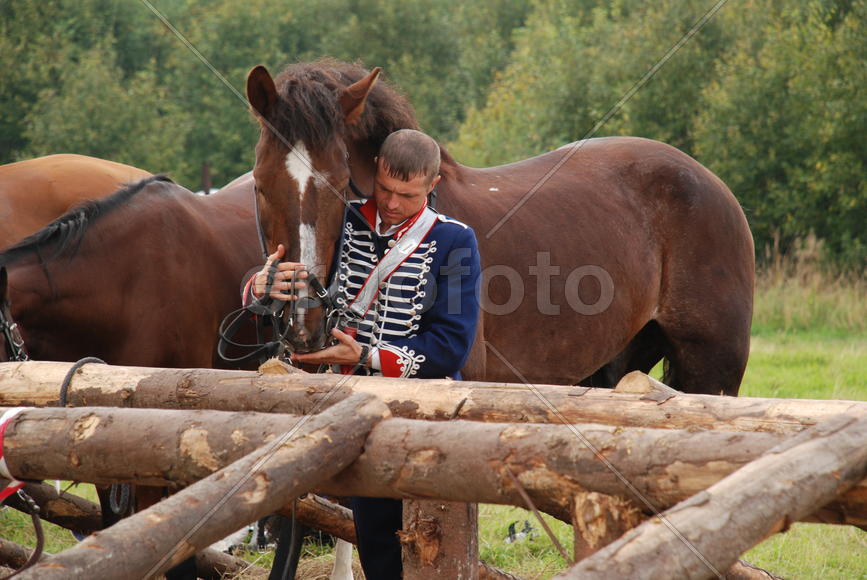 Полушария окружностей.
