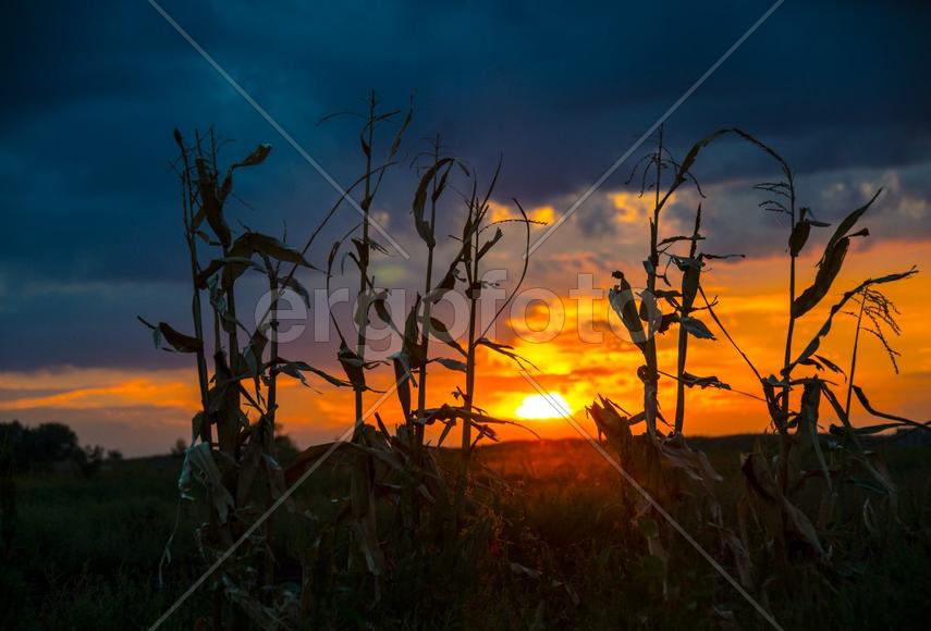 Осенний закат