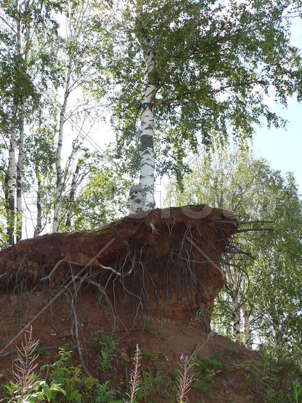 Из последних сил