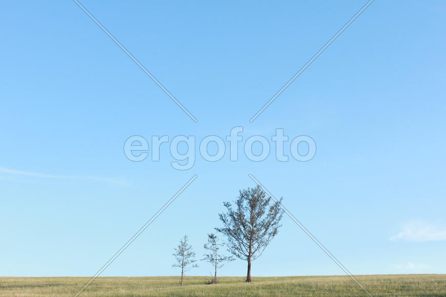 созерцание