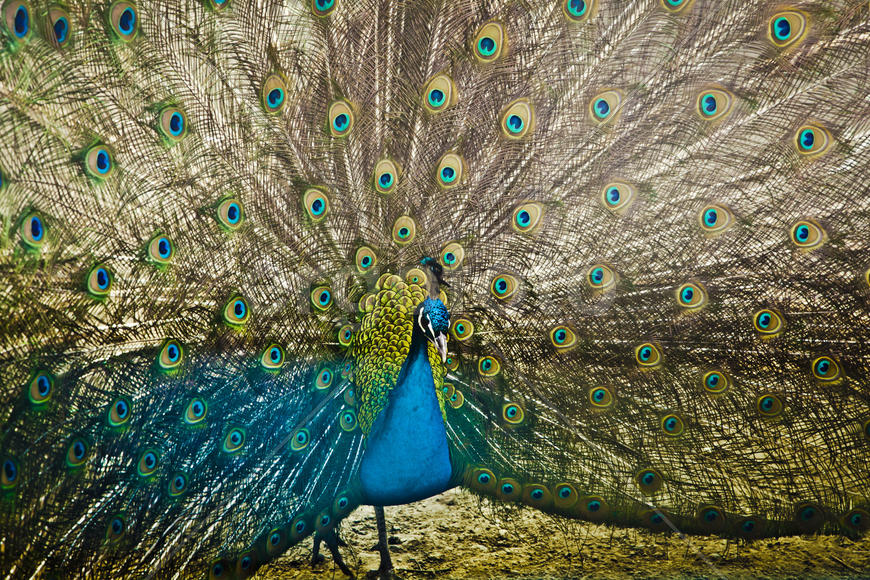 Ставрополь