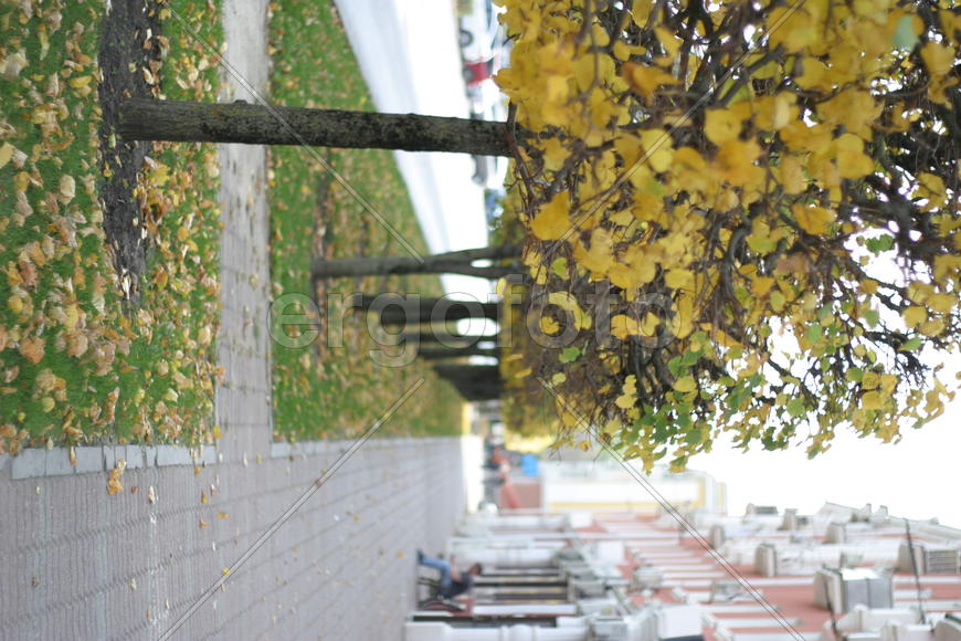 Ставрополь