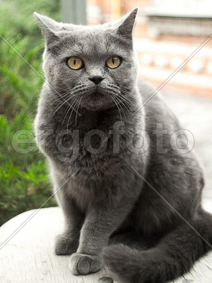 Ставрополь