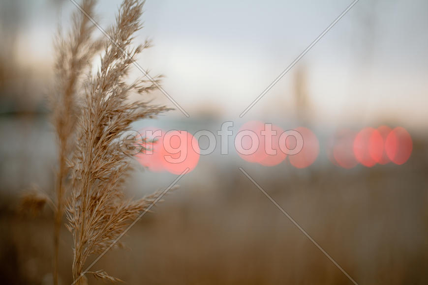 bmw  experience Ставрополь