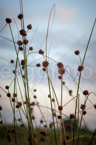 Краснодарский край