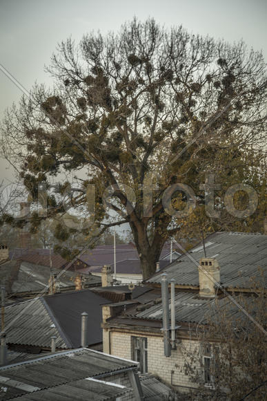 Ставрополь