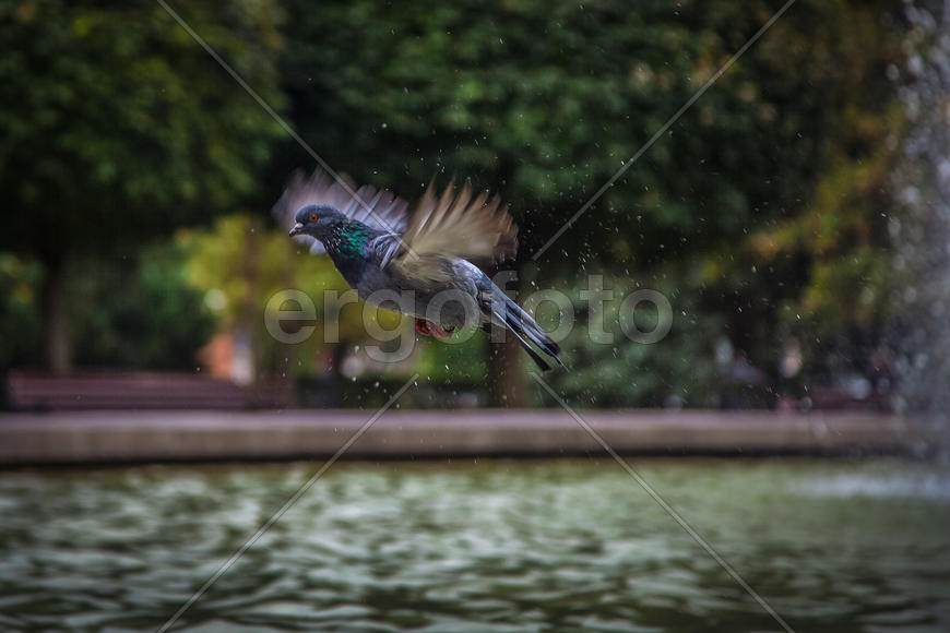 Ставрополь