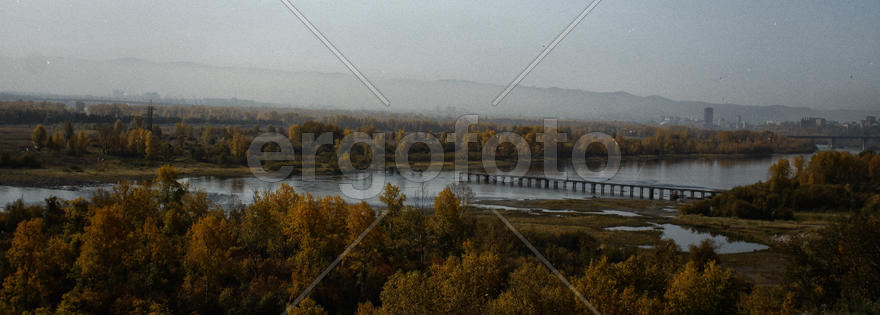 Небо над деревьями