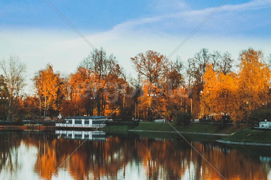 Ботанический сад,г.Москва
