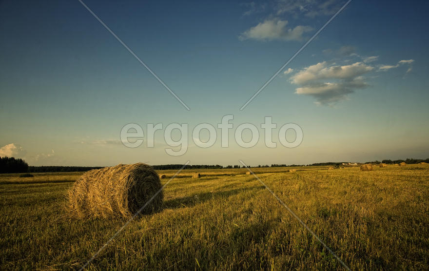 Стог сена в поле