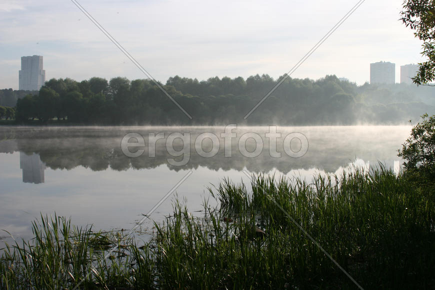 Утренний туман