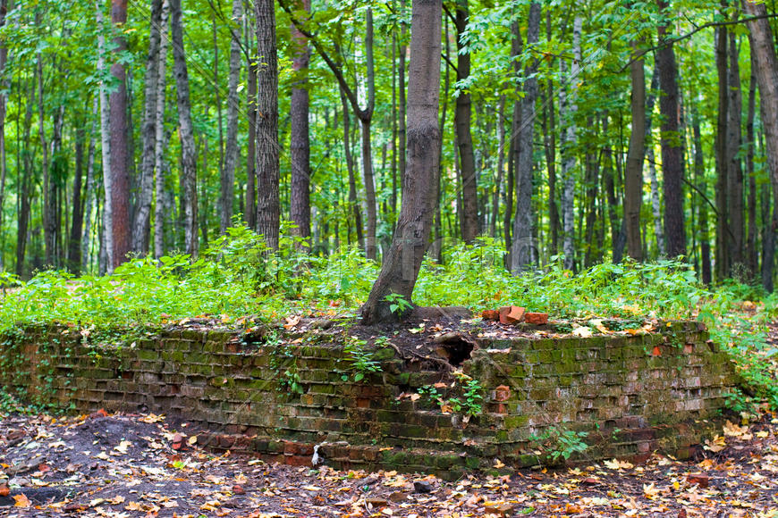 sic transit gloria mundi