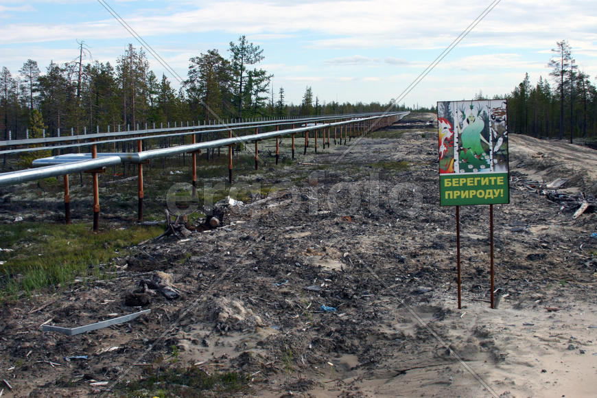 Берегите природу