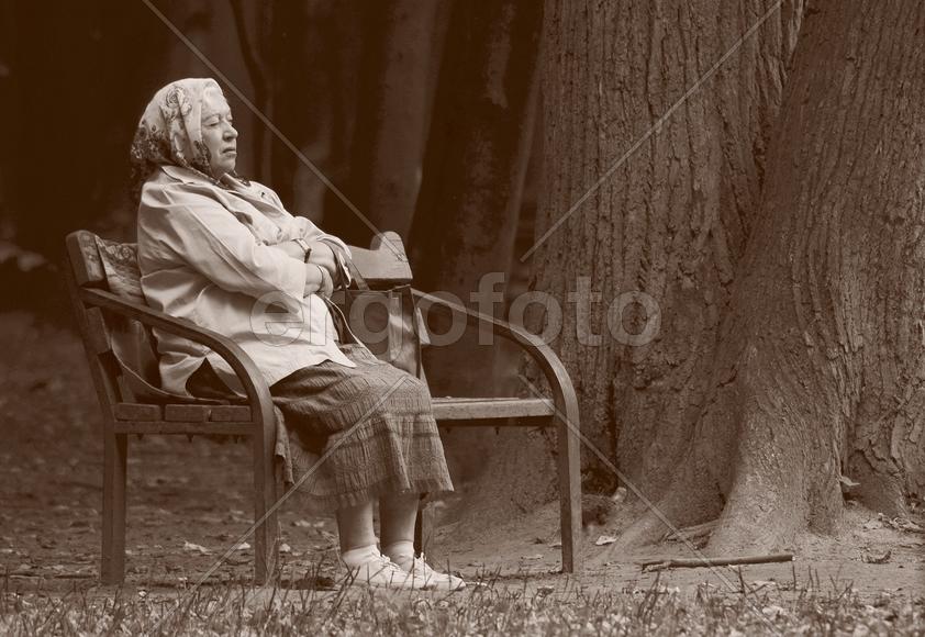 Ожидание осени