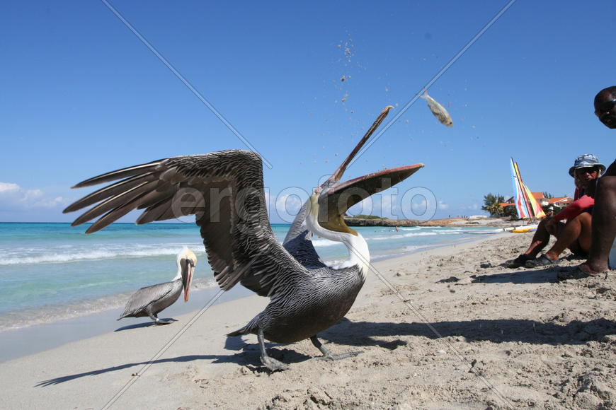 Обед. Между первой и второй промежуток небольшой