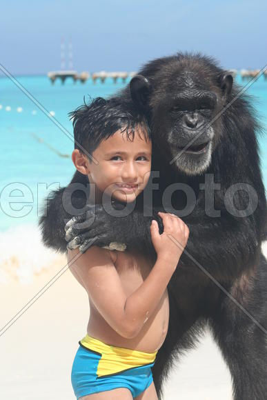 Мексика, мальчик и лохматый мальчик