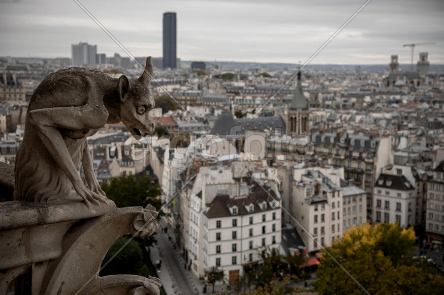 "Химера Нотр-Дам".