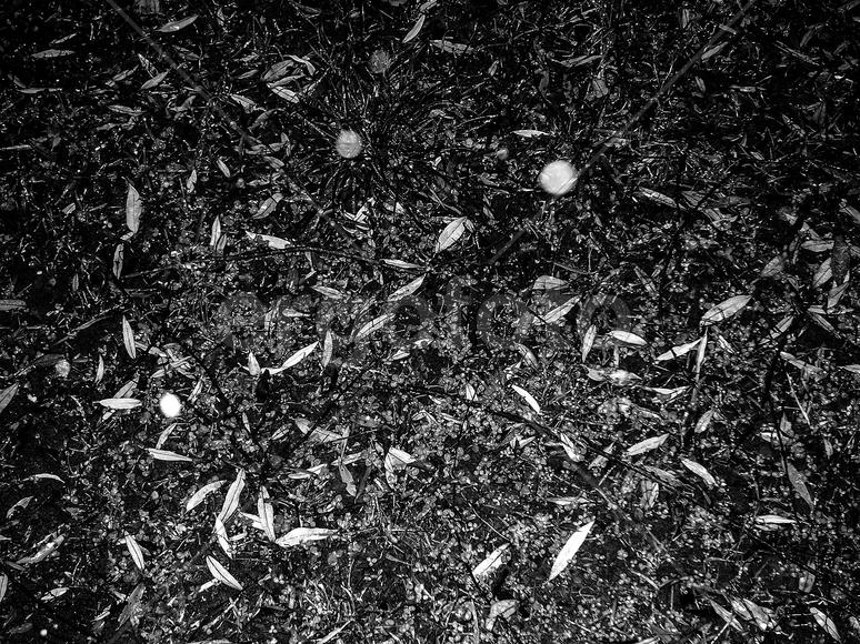 "Миры под ногами".