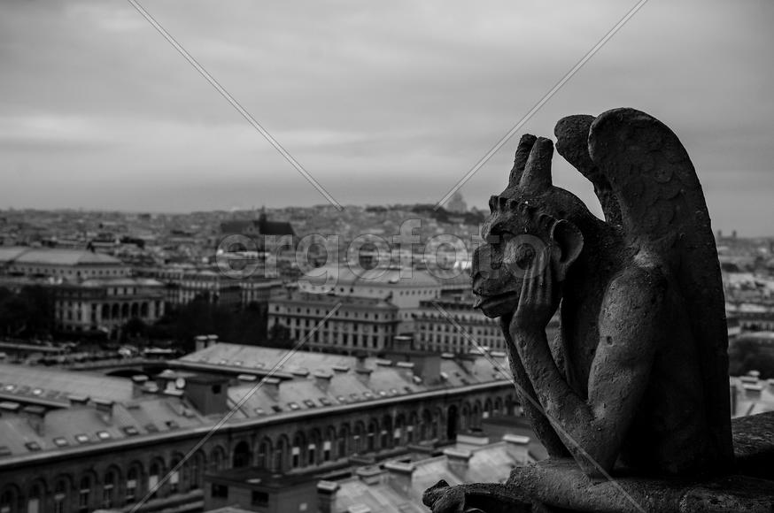 "Химера Нотр-Дам".