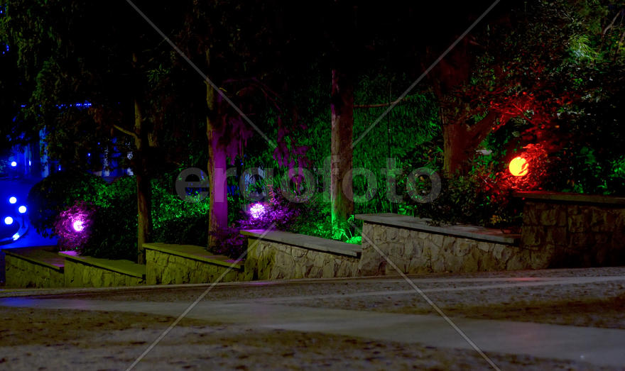 Вечерняя аллея Ялты