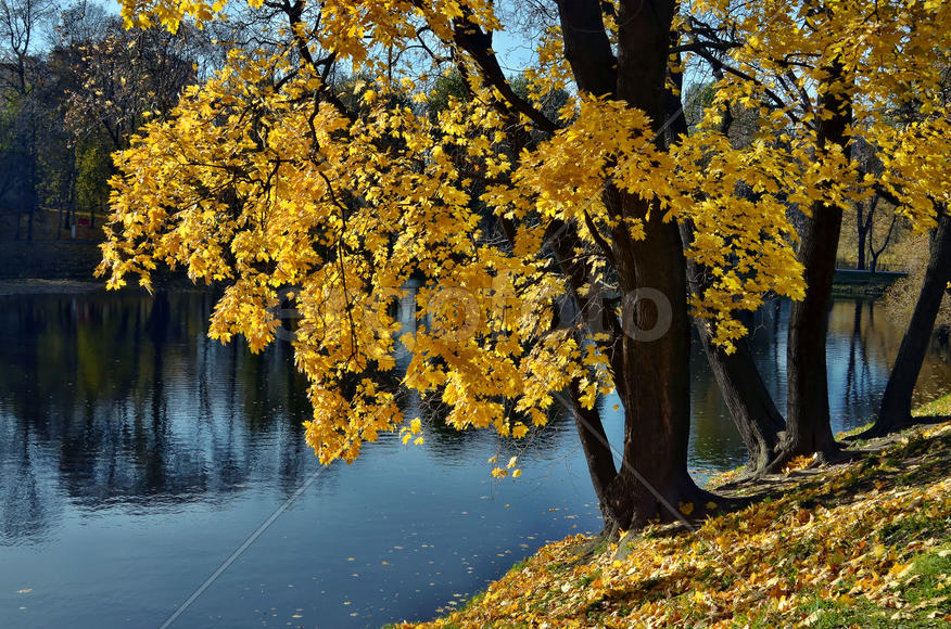 Осенний парк