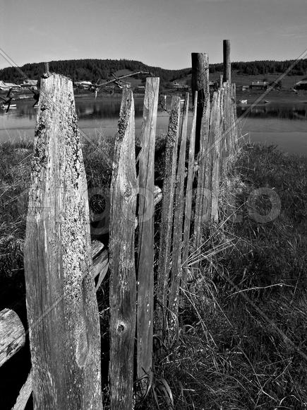      Вот такая жизнь...                          