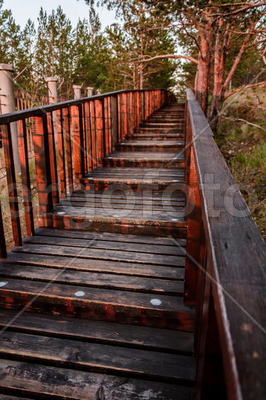 Деревянная лестница с перилами 