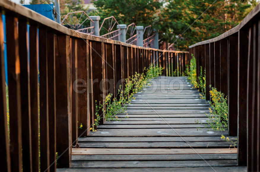 Деревянные мост с перилами 